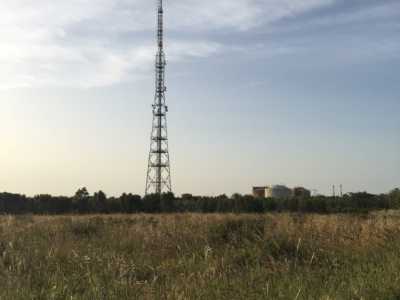 Un'altra foto scattata dalla campagna